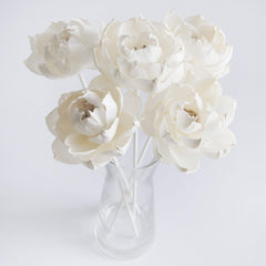 reed diffuser sticks 8 inch length for plawanature set