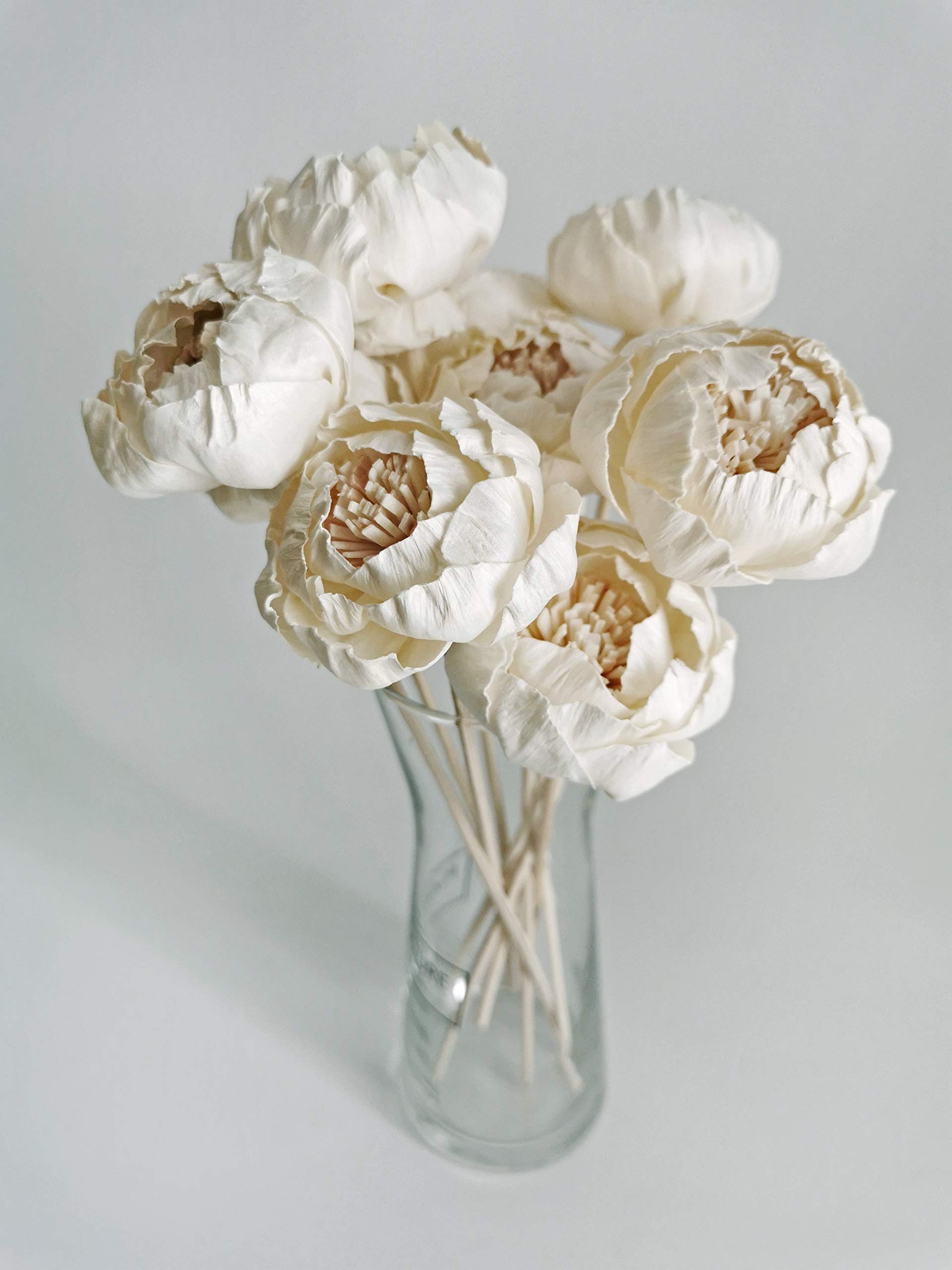 Peony White Pink Sola Flower by Plawanature for home fragrance