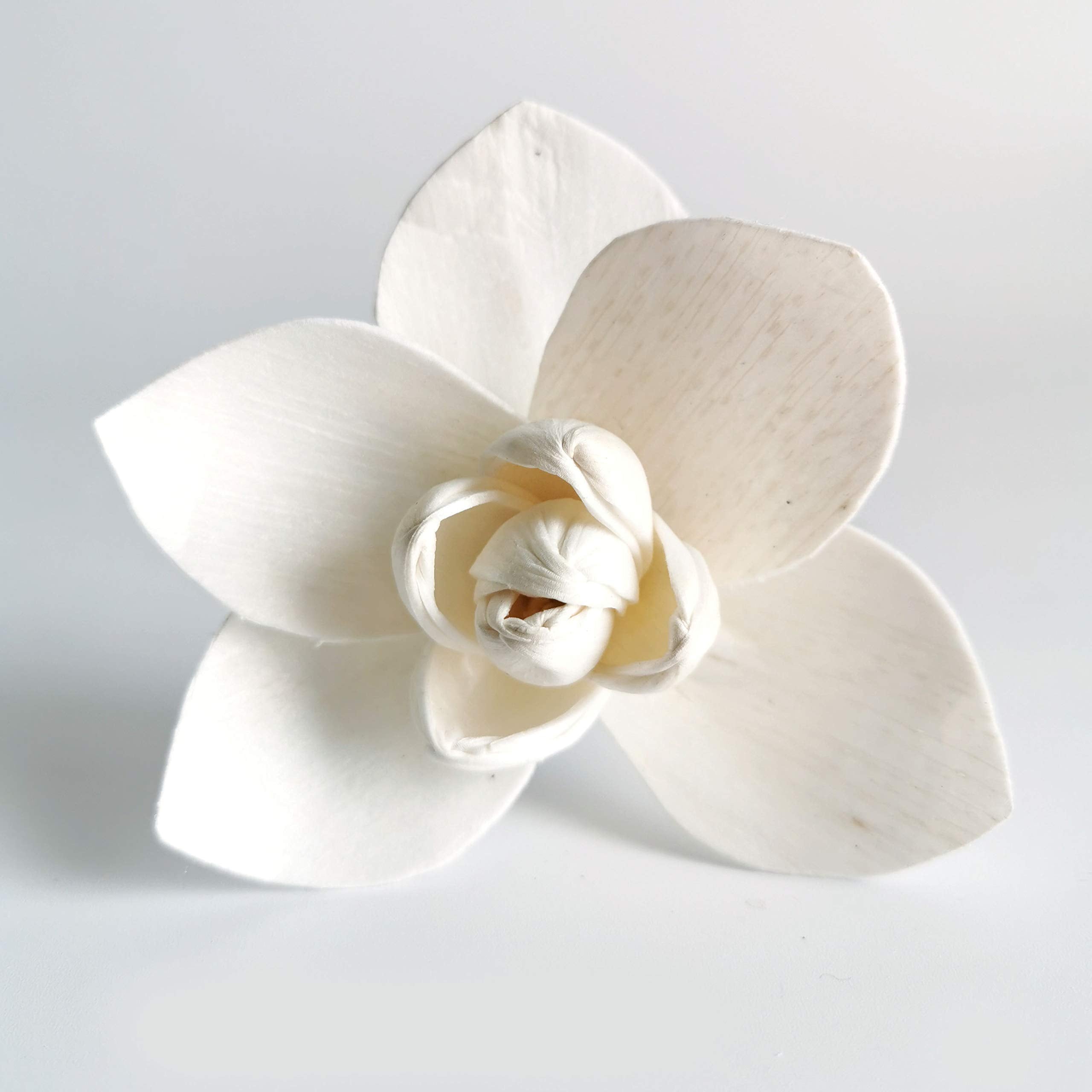 Sesbania wood Sola Flower diffuer with cotton rope