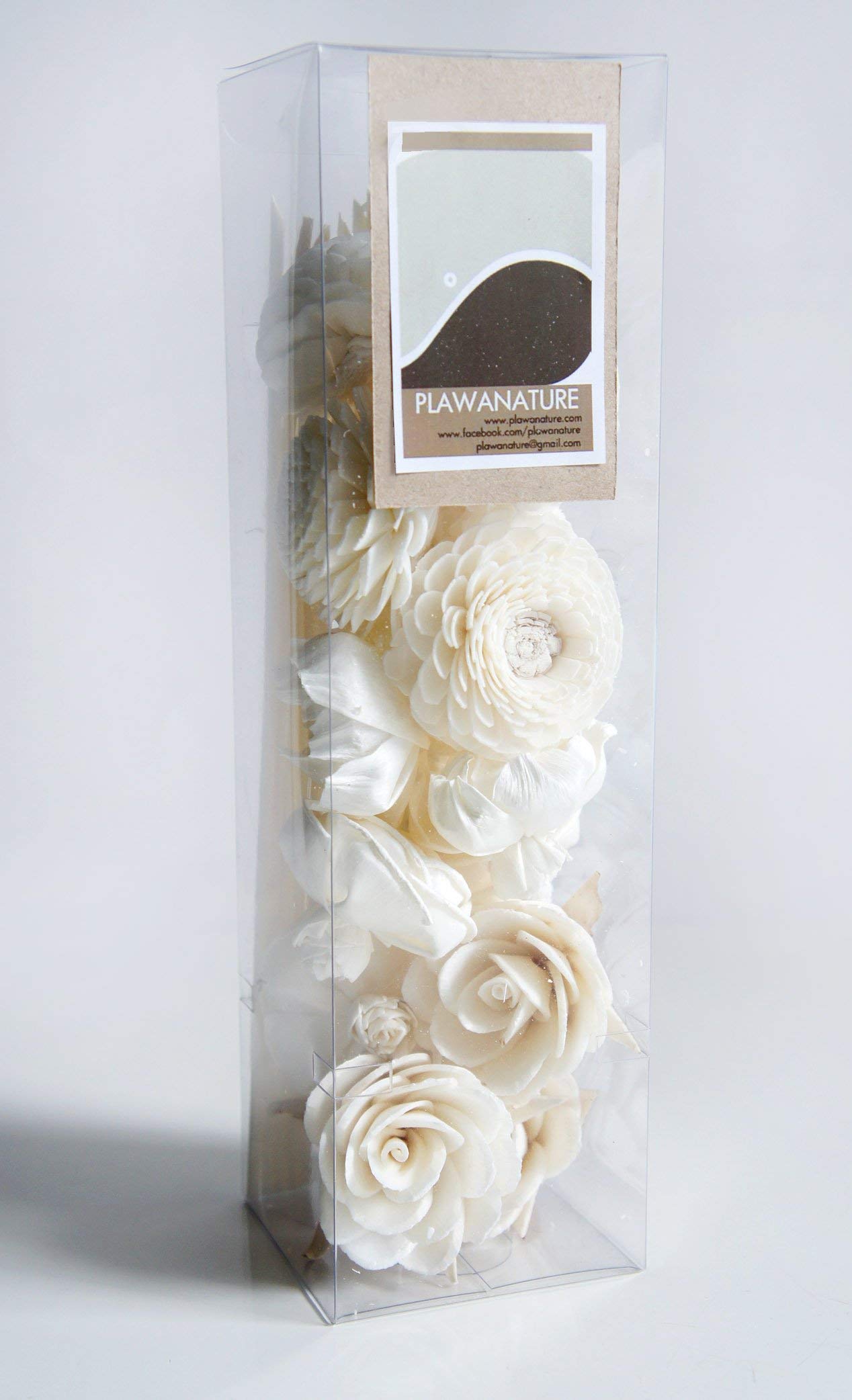 Assorted Sola flowers Rose Peony Zinnia Jasmine by Plawanature