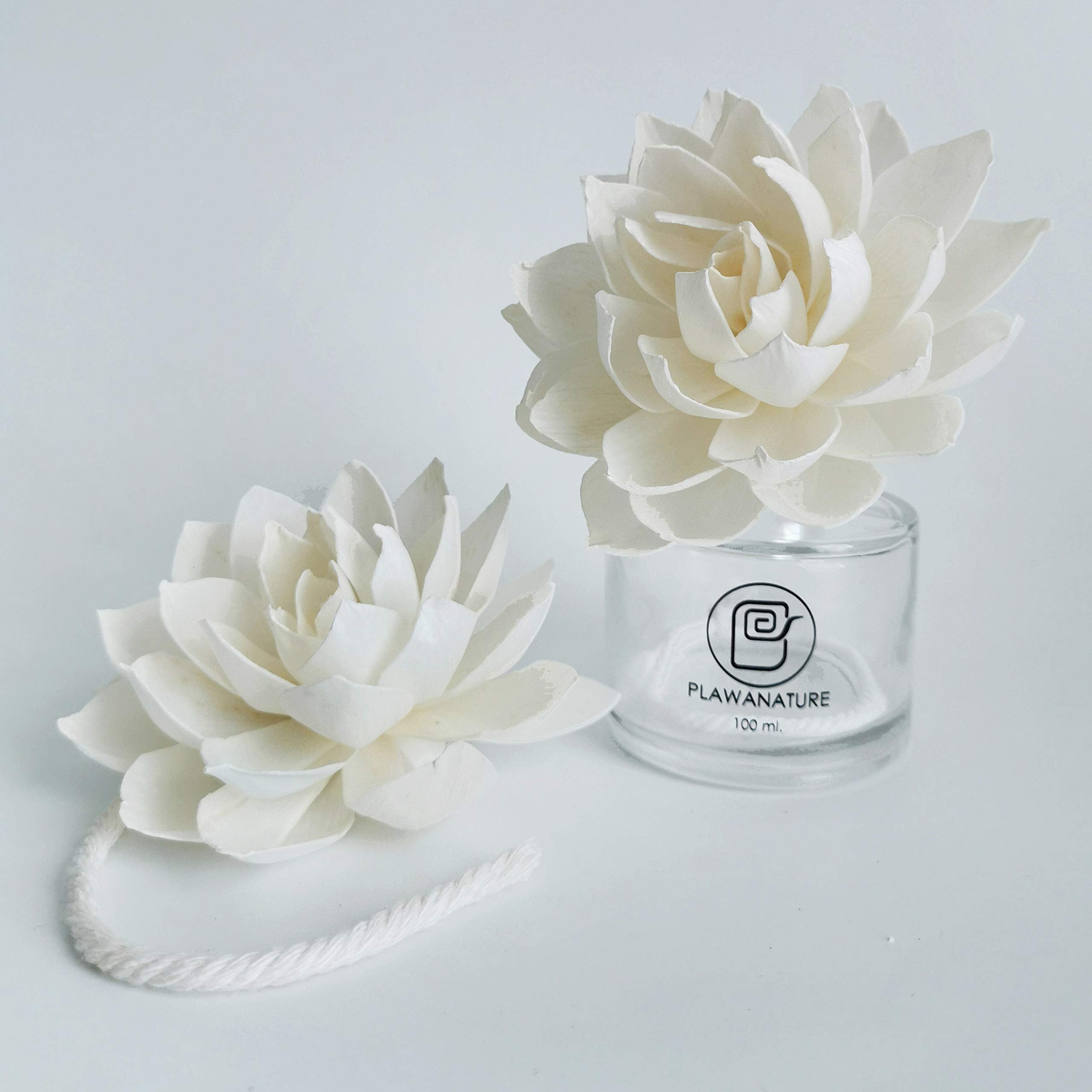 Sesbania wood cotton rope sola flower home decor by plawanature