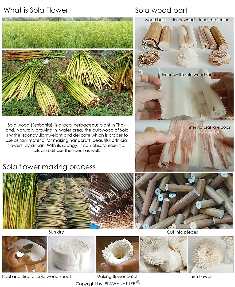 Cotton wick diffuser setup for home fragrance