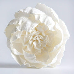Sola Flower component from Plawanature diffuser set