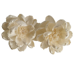 Lifelike peony sola flower bloom by Plawanature
