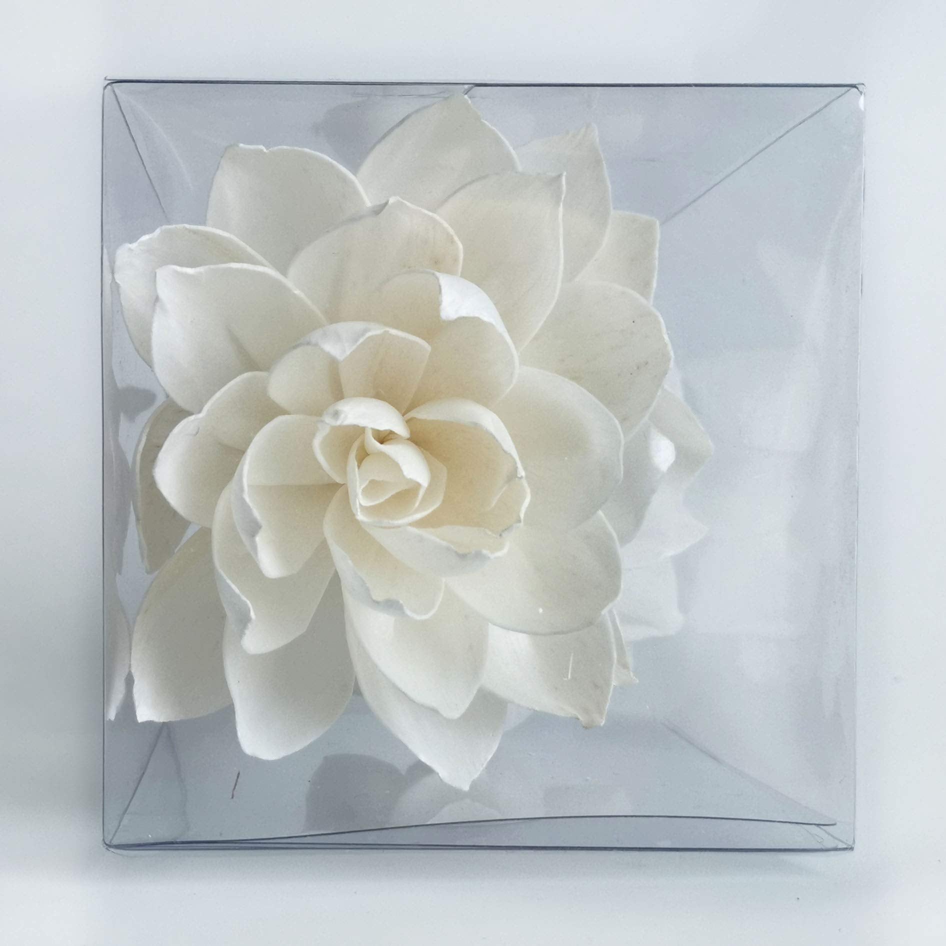 Home decoration sola flower aromatherapy diffusion by plawanature