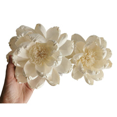 Plawanature two 6inch sola flowers display