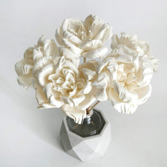 Sesbania wood Sola Flower and reed diffuser component