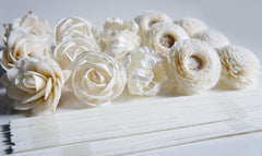 Sola flower tops with reed sticks from Plawanature kit