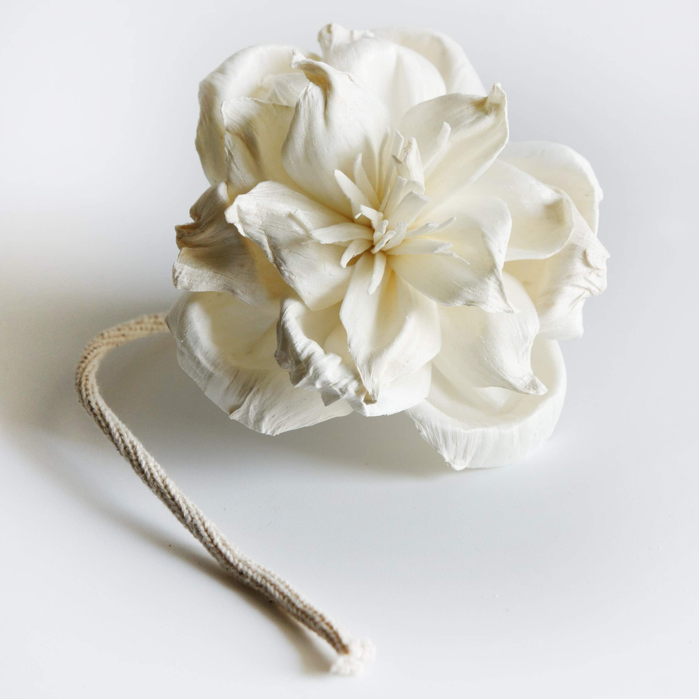 Two Sola Flowers for diffuser with rope design