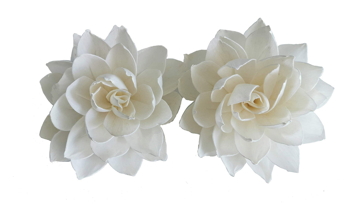 plawanature Waterlily Lotus Flower 5inch Sola Flower set of 2 with cotton wick