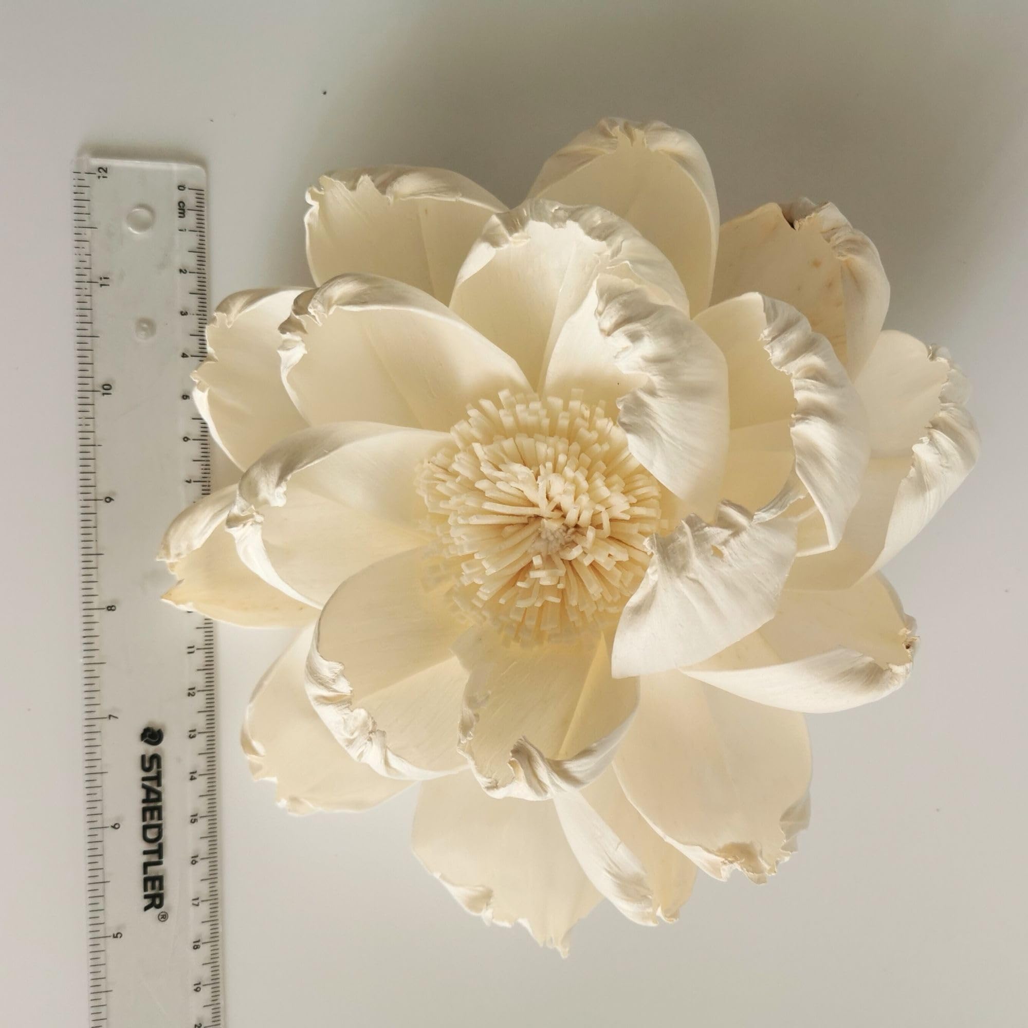 Natural sola flower material for diffuser by Plawanature