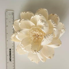 Natural sola flower material for diffuser by Plawanature