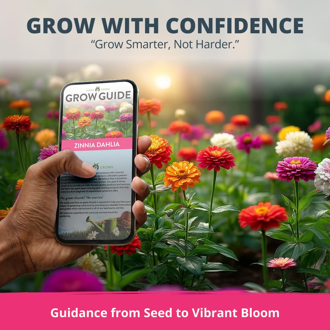 Heat-loving zinnia dahlia seeds adaptable to USDA zones 2-11
