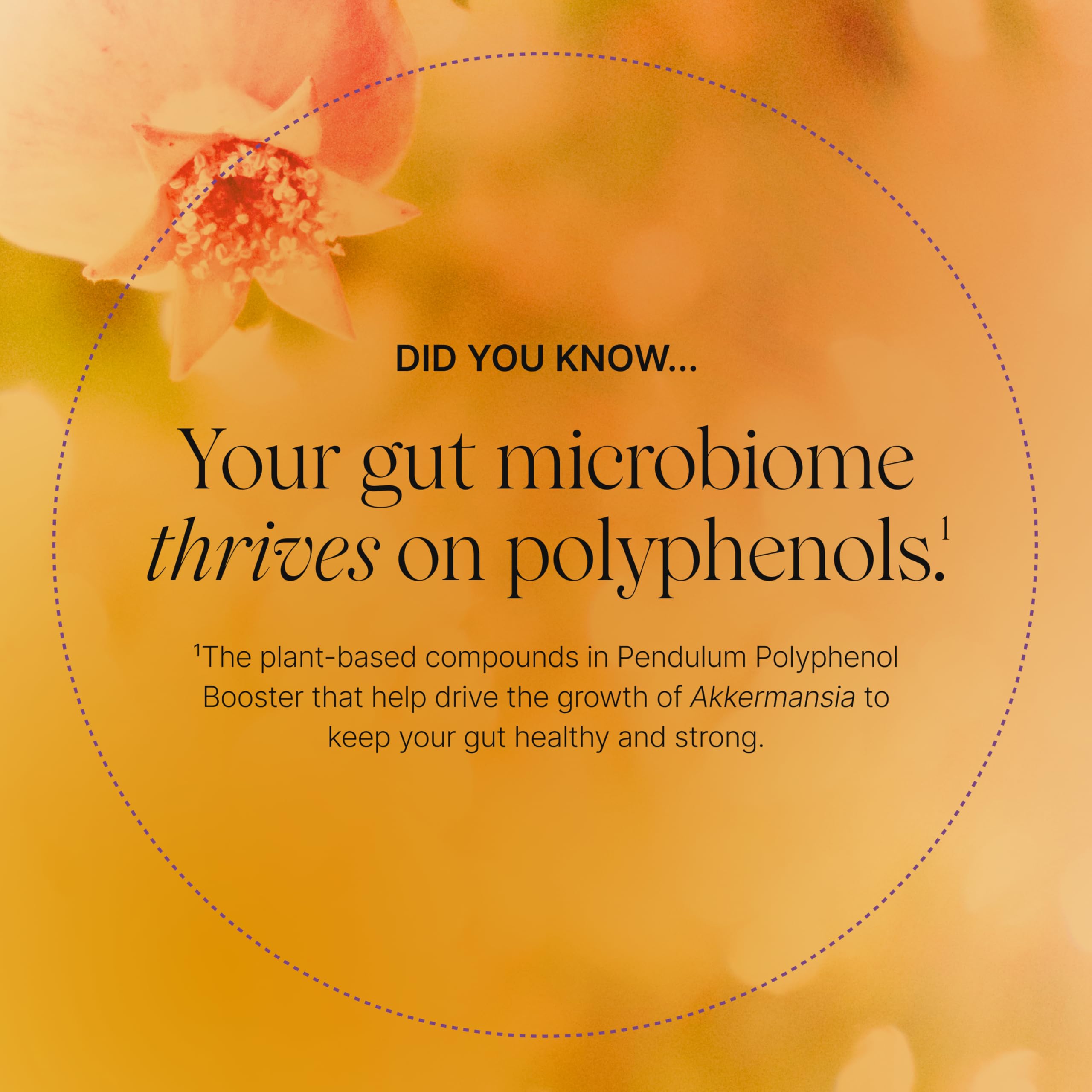 Pendulum probiotic ingredients tested for safety
