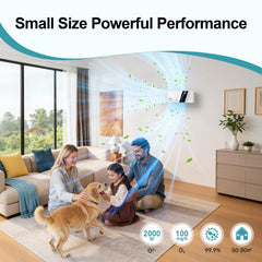 Night mode low noise operation Poof Odor Eliminator