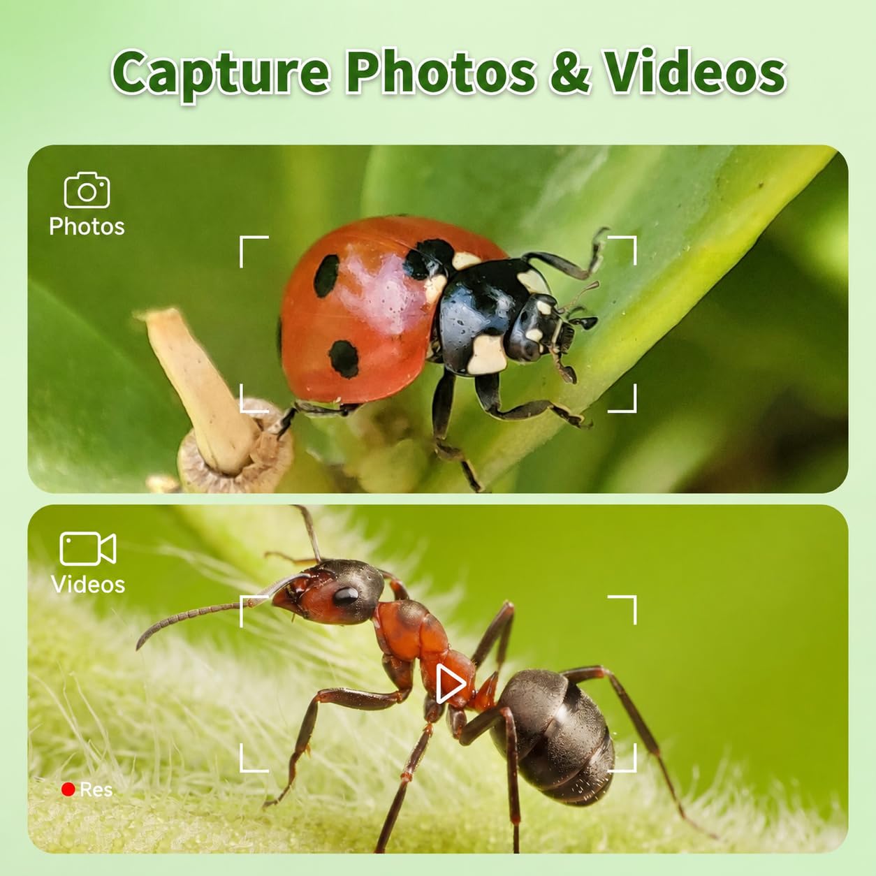 Portable microscope with 2MP CMOS sensor