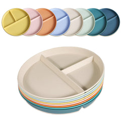 Portion Control Plate 9 inch divided plate four color set