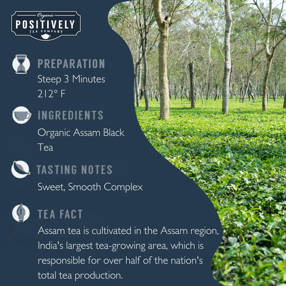 USDA Organic Non-GMO black tea Positively Tea loose leaf
