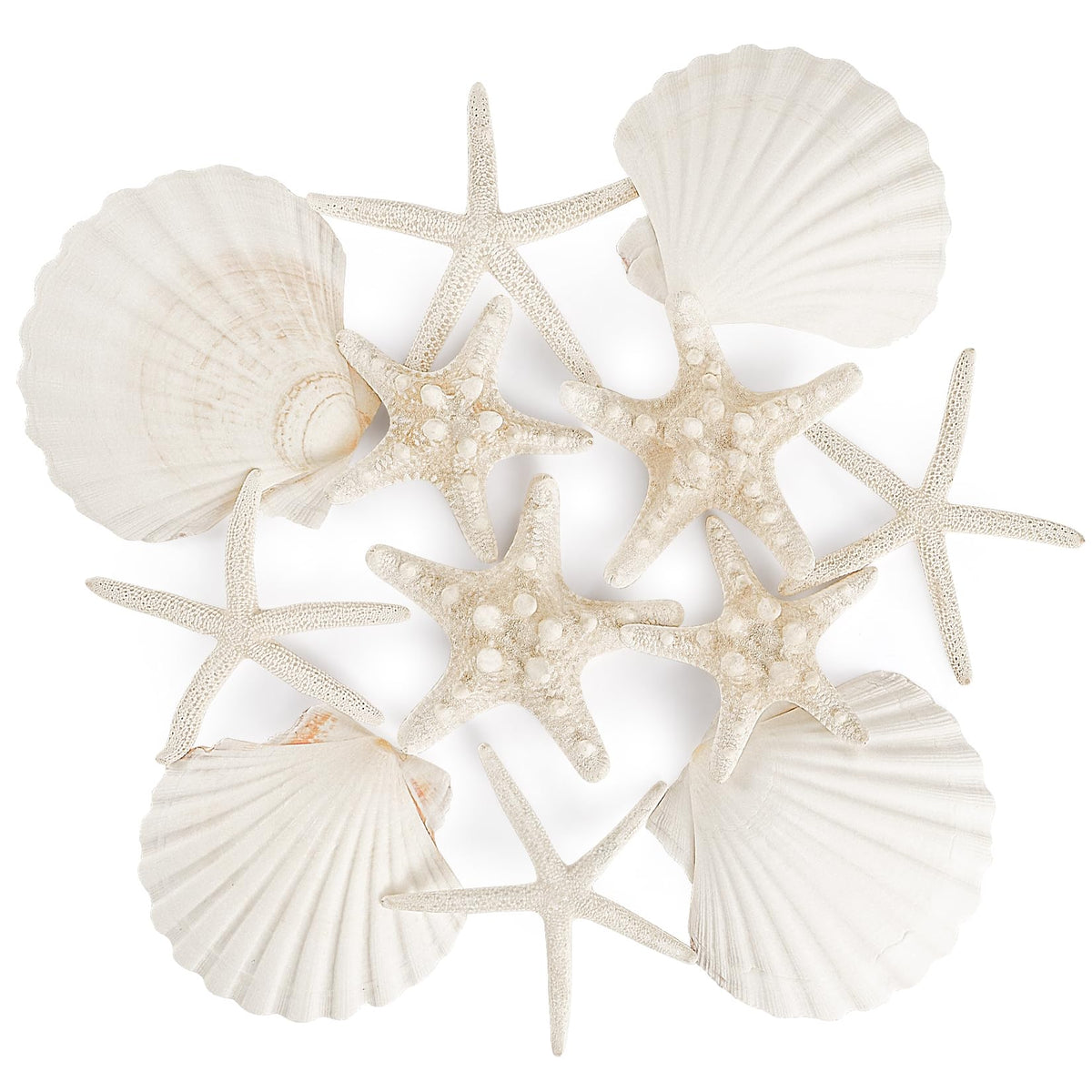 PPCLION natural starfish 4-5 inch set of 12 pieces for crafts