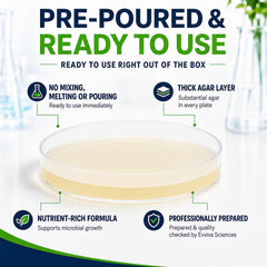 Pre-poured nutrient agar plates ready for experiments