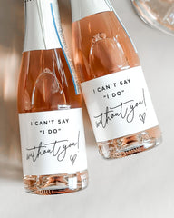Water resistant and repositionable champagne labels