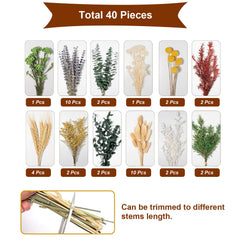 Preserved botanicals dried bouquet suitable for boho farmhouse decor