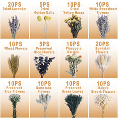 Preserved flowers bulk babys breath in packaging