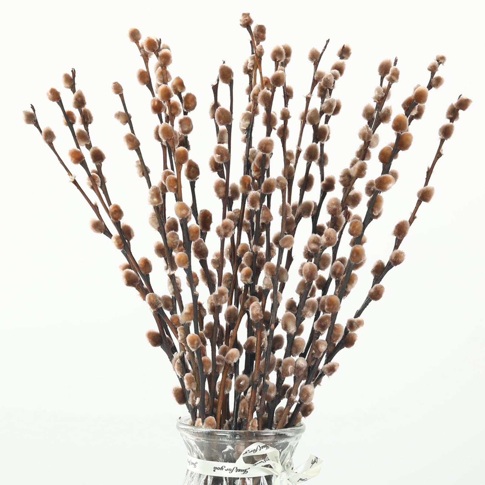 Preserved PussyWillow stems package of 20 approx 17 inches long