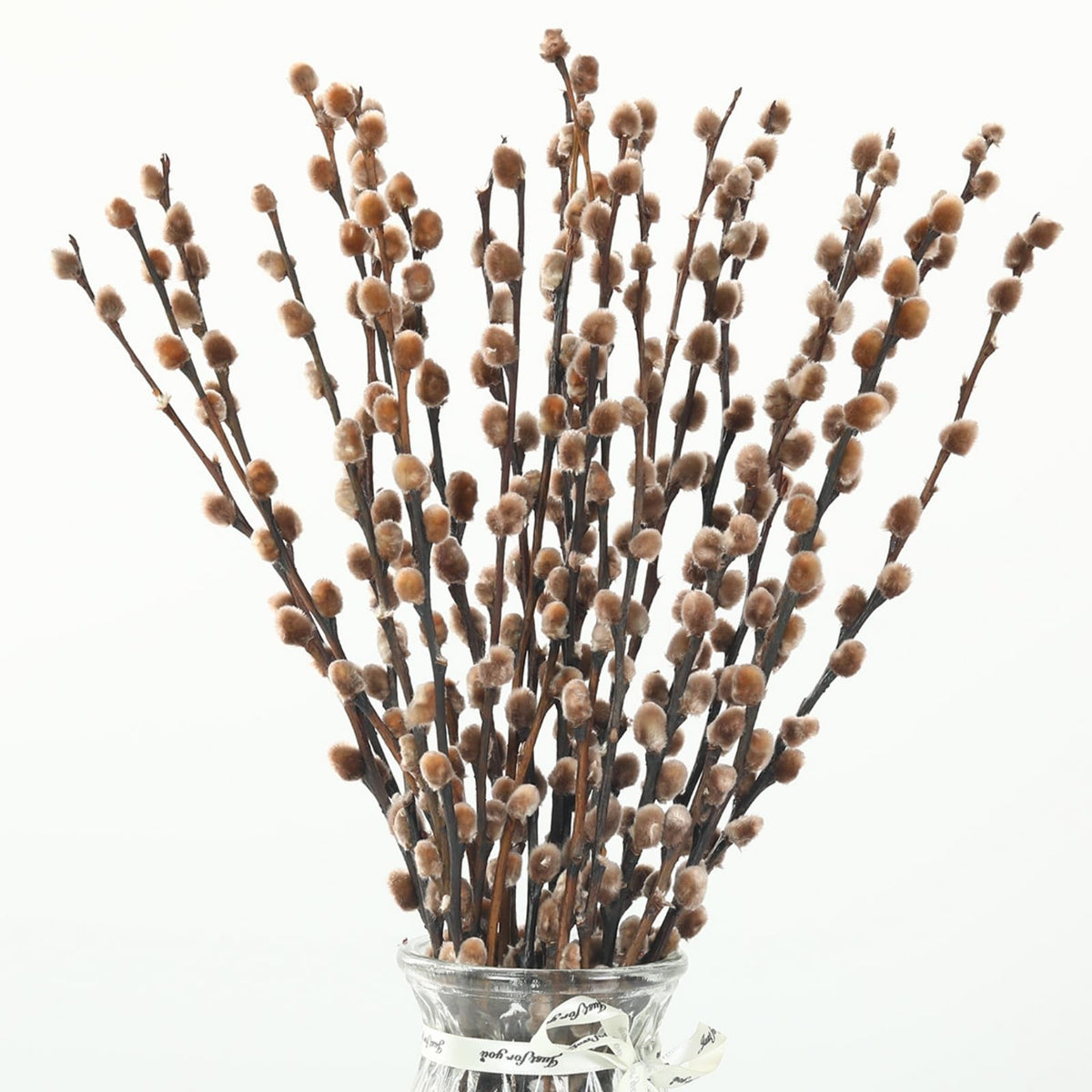 Preserved PussyWillow stems package of 20 approx 17 inches long