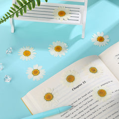 Small lightweight dried flowers ideal for DIY projects