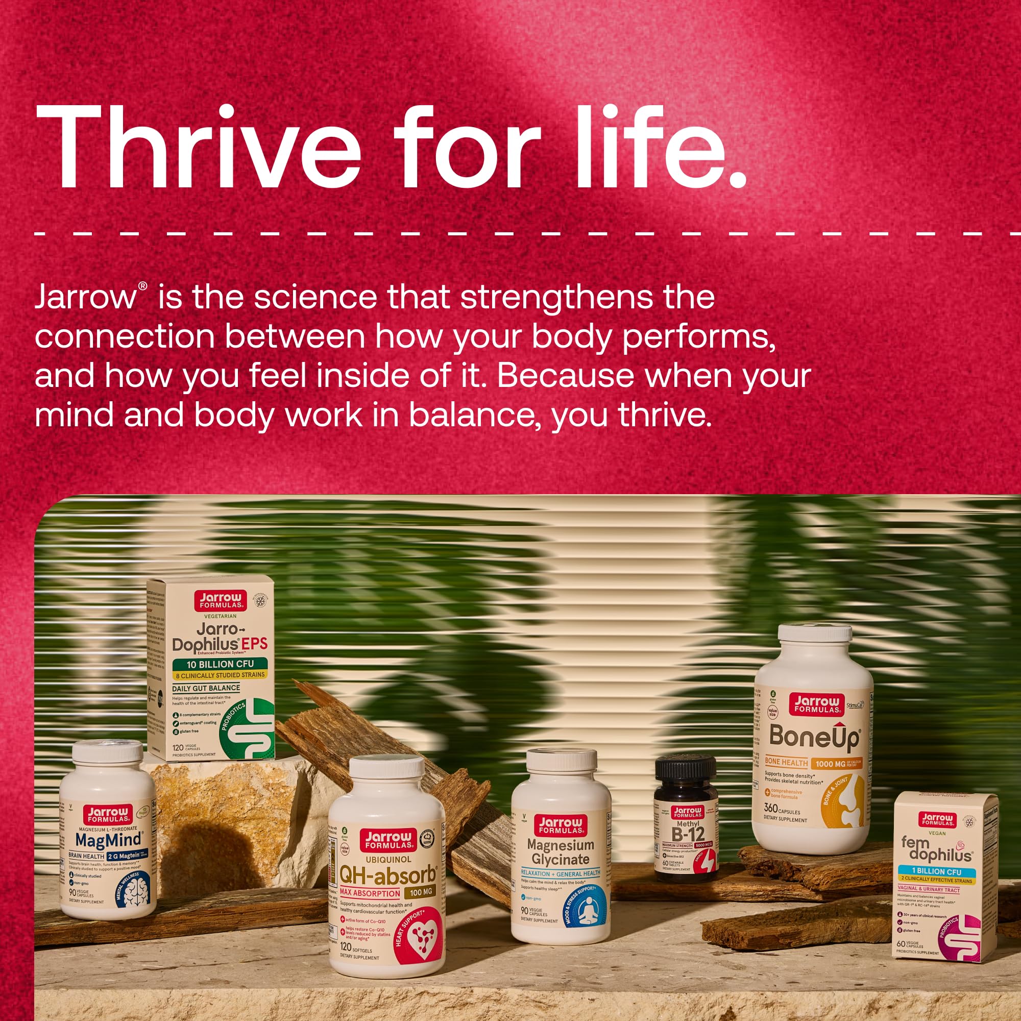 Proliposome delivery system CoQ10 softgels