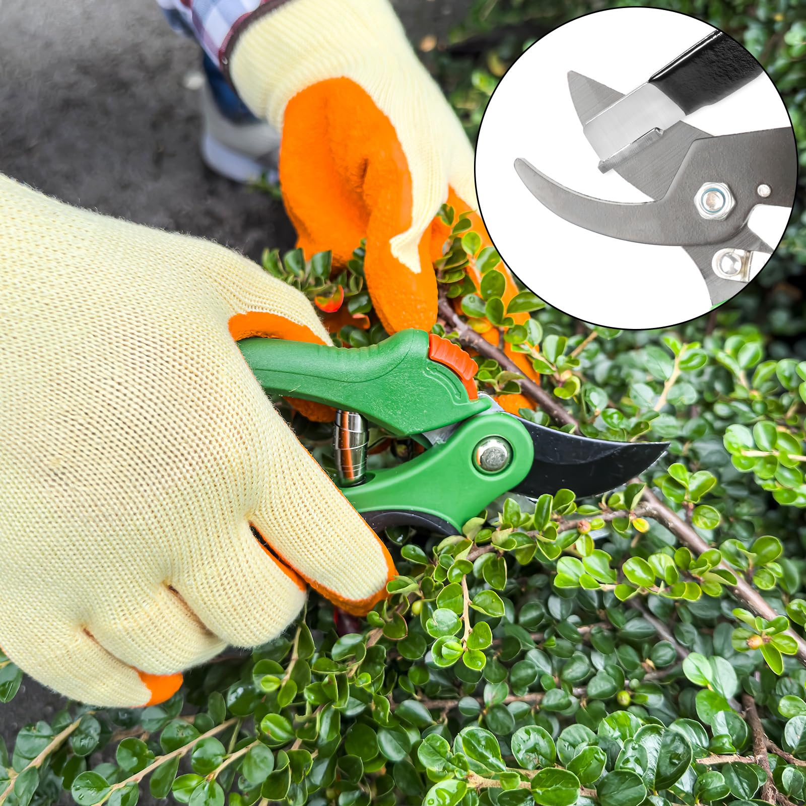 Four sharpeners included for kitchen and garden use
