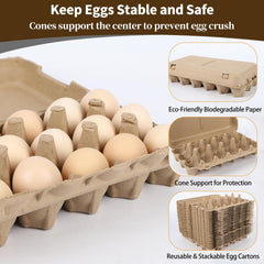 Biodegradable pulp egg cartons eco friendly packaging