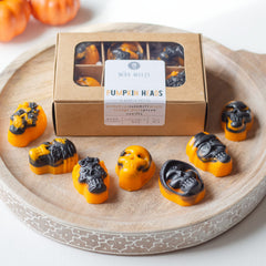 Coconut wax Pumpkin Heads wax melts set of 6 hand-made