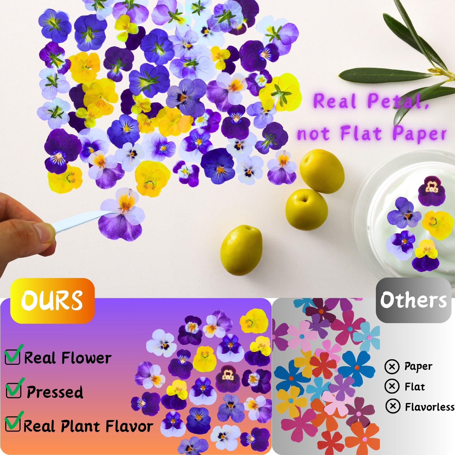 PureHabitat pressed dried viola tricolor flowers 10 colors