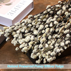 PussyWillow preserved dried branches for DIY floral art