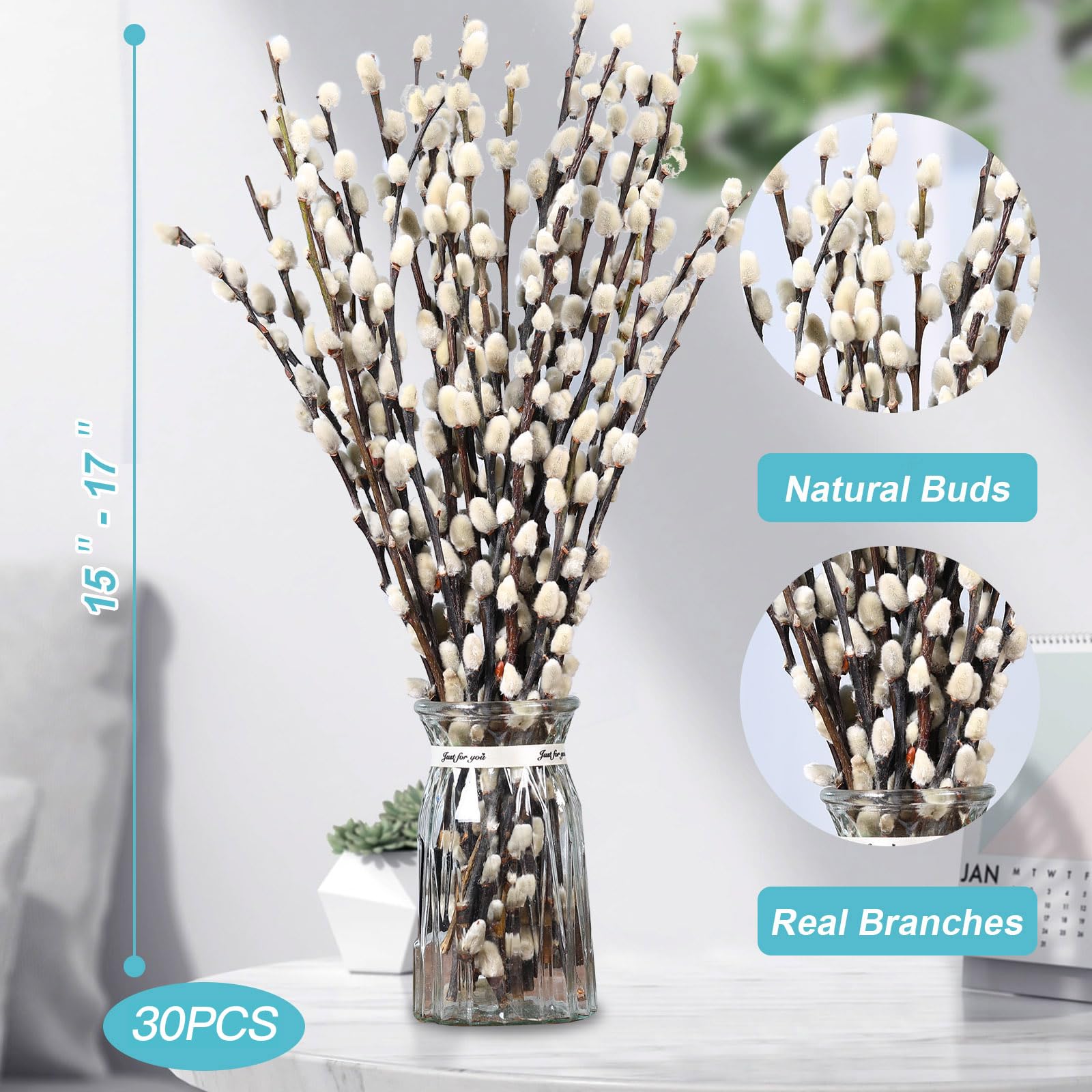 Dried PussyWillow branches 30 stems set