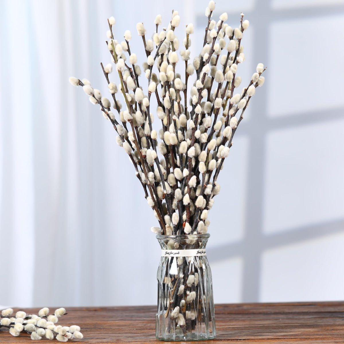PussyWillow preserved branches 30 stems Snow variety for vases
