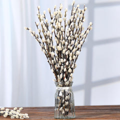 PussyWillow preserved branches 30 stems Snow variety for vases