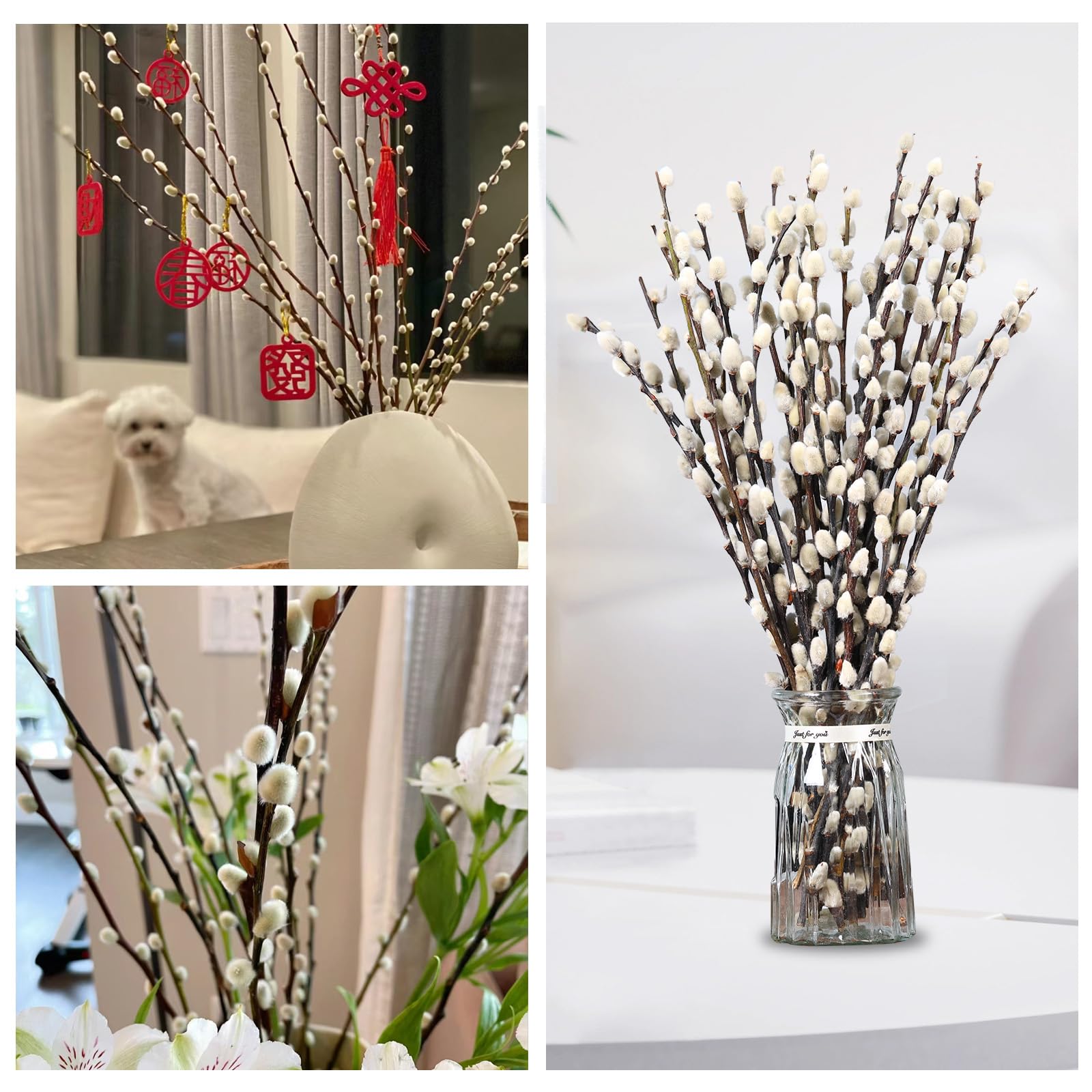 Winter and spring decor with PussyWillow branches