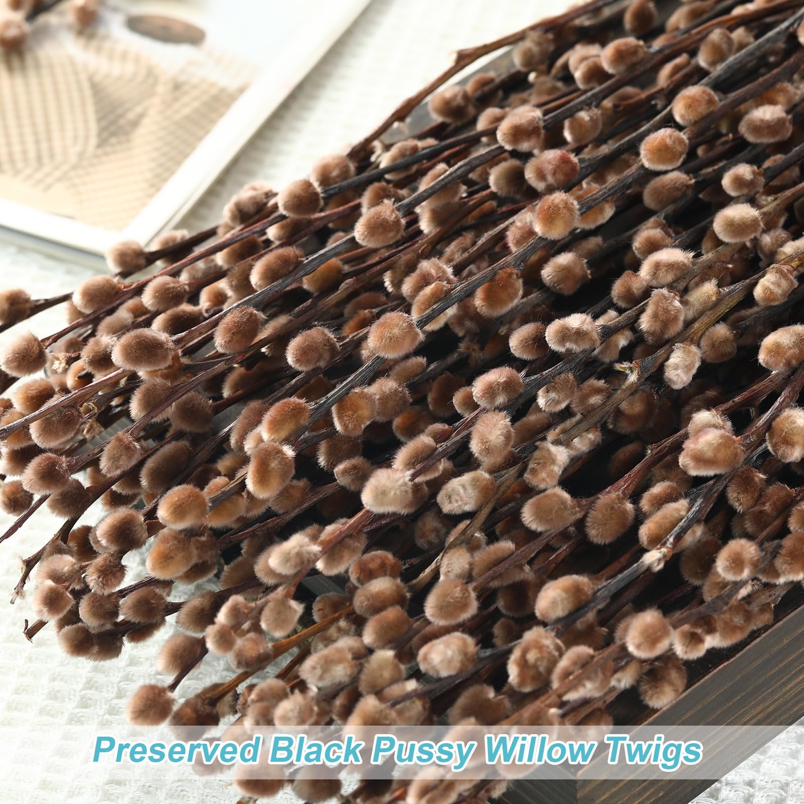 PussyWillow branches for vases indoor outdoor decor