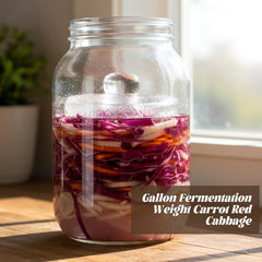 Two-piece glass fermentation weight set for 1 gallon jars