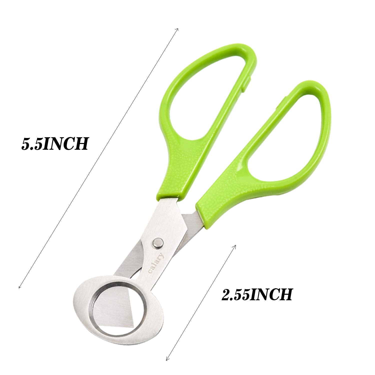 Stainless steel blades on quail egg cutter scissors