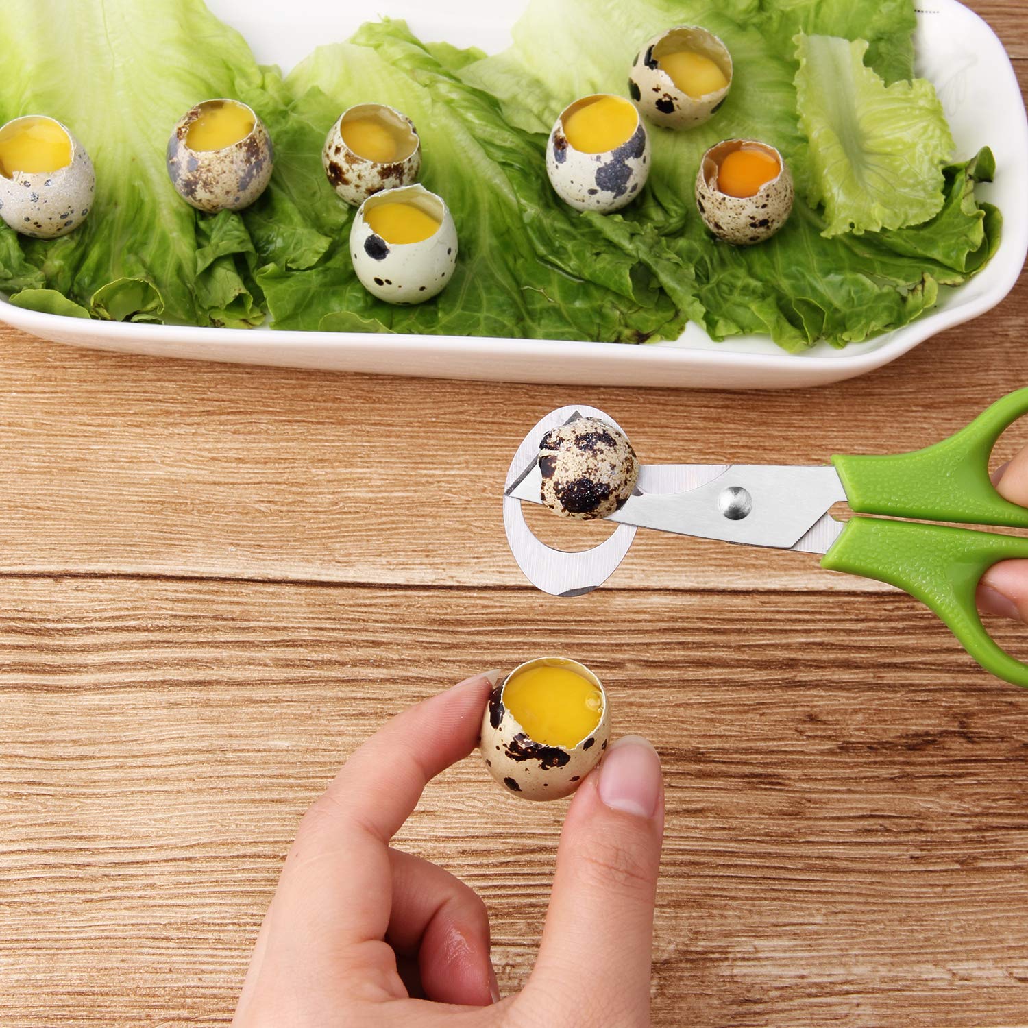 6pcs quail egg cutter scissors set