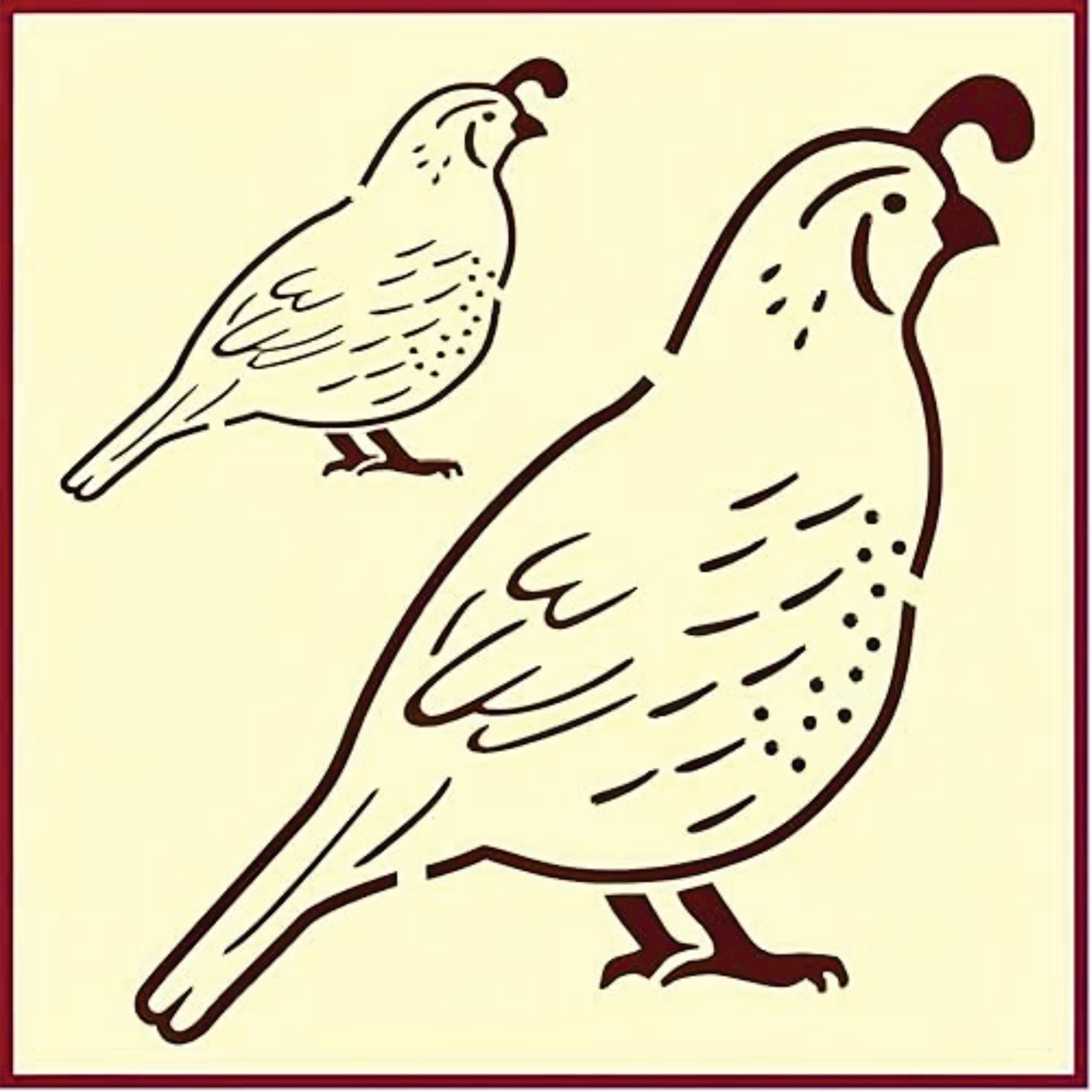 Quail stencil template small 2.8x2.4 inch stencil on sheet