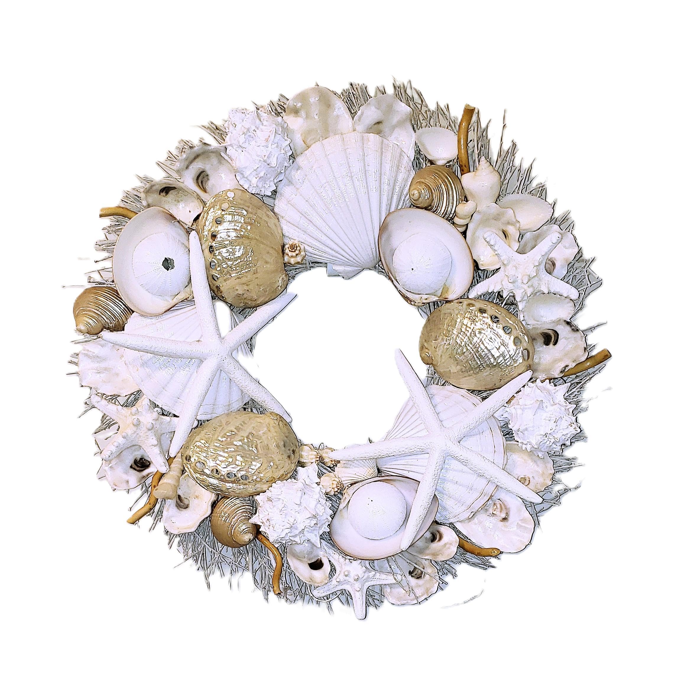 Rare blue abalone shells on sea shell wreath
