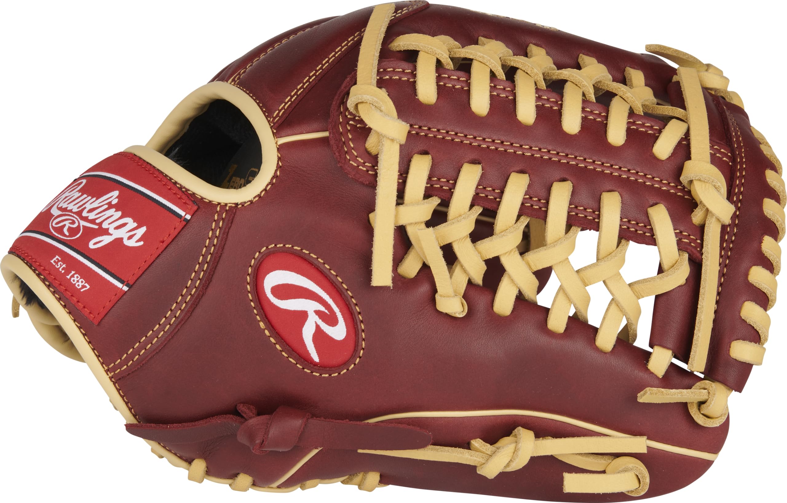 Modified Trap-Eze Web on Rawlings Sandlot glove