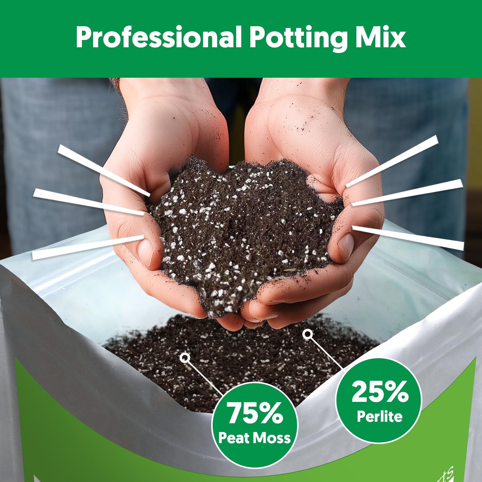 bonsai jade orchids houseplants potting soil image