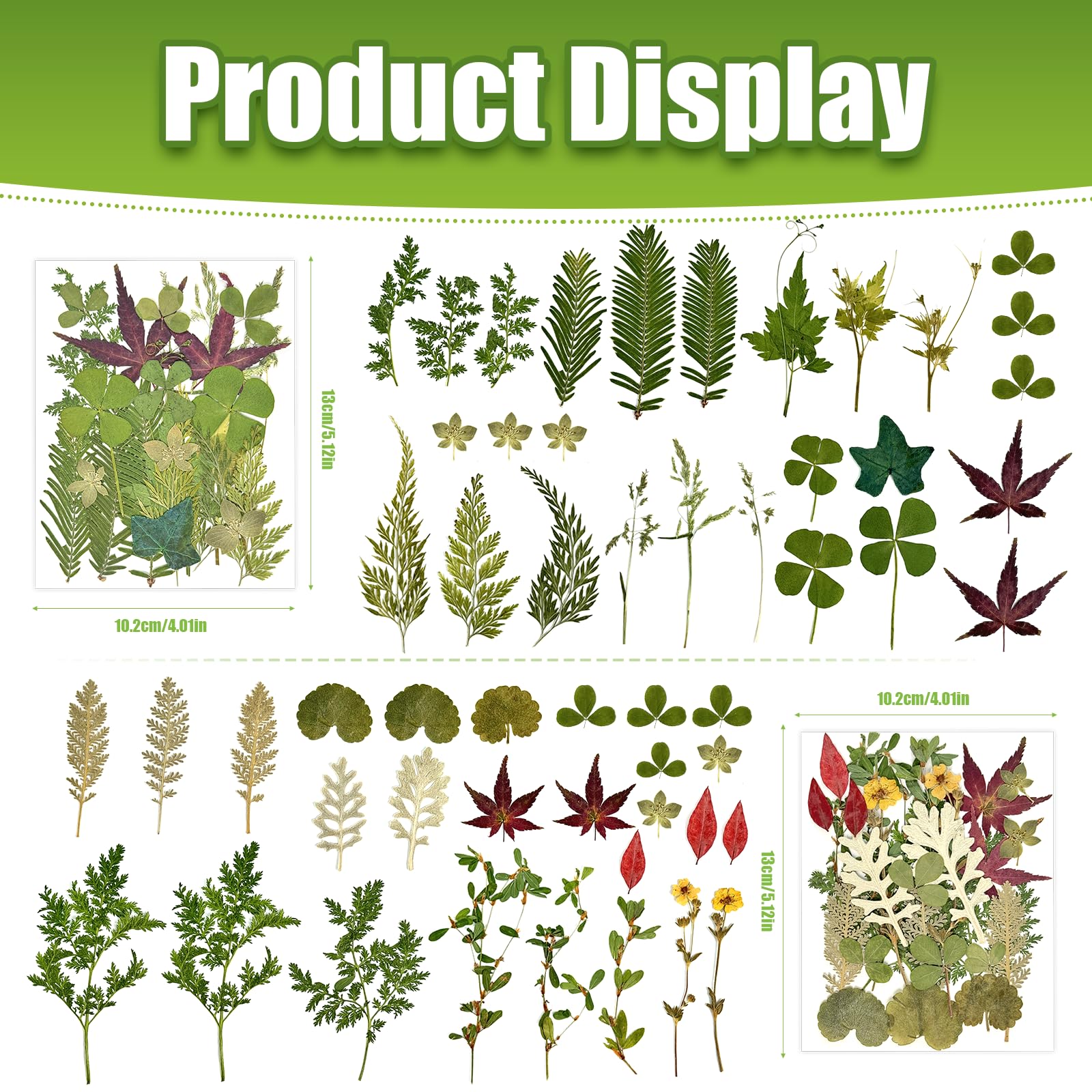 Real pressed flowers and leaves for resin and scrapbooking