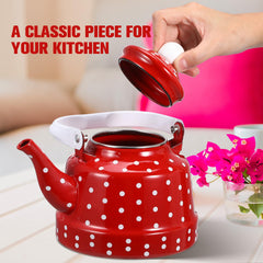 Stainless steel filter included enamel kettle for tea brewing